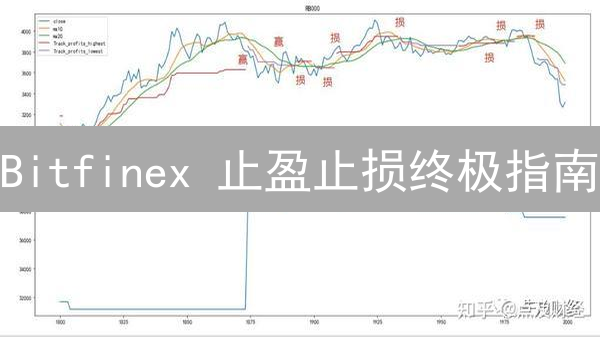 Bitfinex 止盈止损终极指南：稳健盈利的秘密武器！